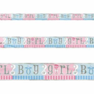 Baby Shower/ Gender Reveal Girl or Boy? 12 Ft. Ban